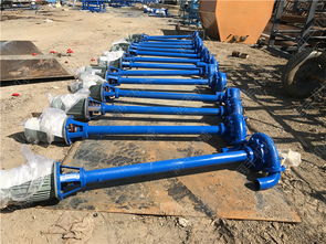 羊糞高效分離與脫水處理設(shè)備 螺旋干濕甩干機(jī)的環(huán)保設(shè)計(jì)解析