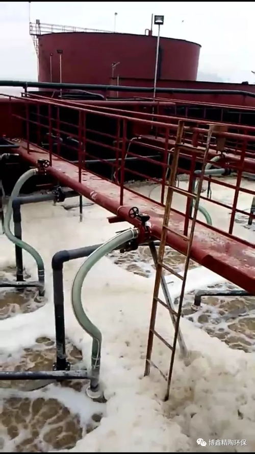 舟山海產(chǎn)品加工廢水處理迎來(lái)創(chuàng)新突破 平板陶瓷膜技術(shù)成功應(yīng)用，為海洋環(huán)境保護(hù)注入新動(dòng)力